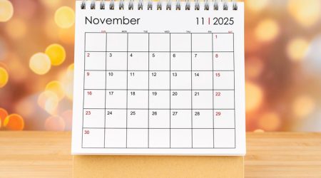 Steuertermine November 2025