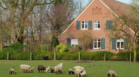 Grundstücksübertragung als Spekulationsgewinn