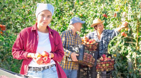 Kurzfristige Beschäftigung in der Landwirtschaft: Änderungen ab 2026