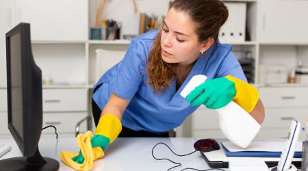 Was ist ein Minijob im Privathaushalt?