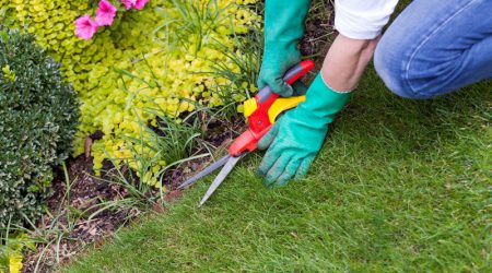Beide Ehegatten als Kleinunternehmer: Kein Missbrauch